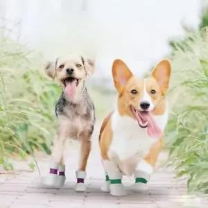 강아지 일회용 신발 반려견 산책 용품 부직포 밴드 부츠 발붕대 발토시 애견 슈즈 8P