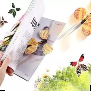 고무동력기 행글라이더 동력나비 실험 장난감 고무줄비행기 10ea