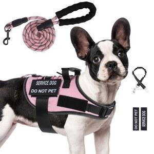노 풀 도그 하네스 소형견, 서비스 및 목줄 세트(4개 패치 포함), 손잡이가 있는 조절 가능한 이지 워크 하네스, 개 조끼 프렌치 불독, 치와(핑크, S)