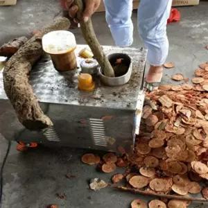 약초 커팅머신 한약재 슬라이서 자동 절편기 약재 다지기 한방재료 절단