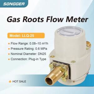 고정밀 LLQ-25 DN25 루츠형 가스 유량계 천연가스 LPG 바이오가스용 유량범위 0.08 10㎥/h 회전식 기계식