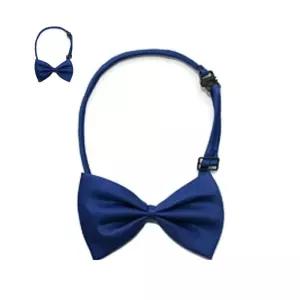 (제스트)소 나비 넥타이 텍타이 - 패션잡화 의상소품