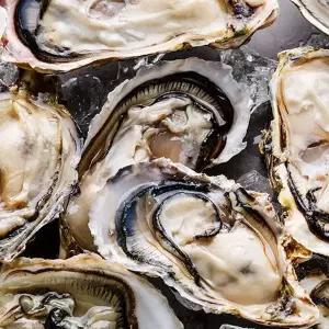 [식탁이야기]싱싱 그 자체! 알이 실한 지금 제철 여수/통영 석화굴 5kg