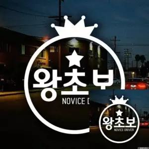 자동차 스티커 왕관 초보운전 표시판 화이트 시트지 차량용 장식 (WFKKYS1)