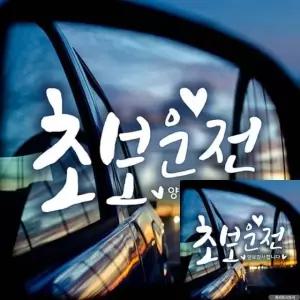 초보운전 차량 스티커 빈티지 화이트 초보 운전 안전표지 자동차 (WFKKYYW)