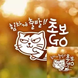 자동차 장식 스티커 초보 운전 응원 반사형 차량 꾸미기 (WFKKYY2)