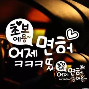 자동차 스티커 초보 운전면허 축하 문구 장식 화이트 시트지 (WFKKYVN)