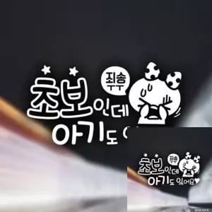 초보운전용 차량 스티커 화이트 자동차 꾸미기 초보운전 (WFKKYSB)