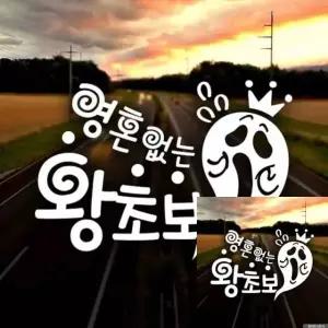 초보운전 차량 스티커 영혼없는 왕초보 주차 알림 표시 시트지 (WFKKVIM)