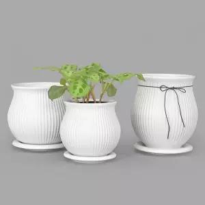 줄무늬 단지팟 세라믹 화분 심플한 인테리어 원형 화분 받침 세트 17호 17호(롱)