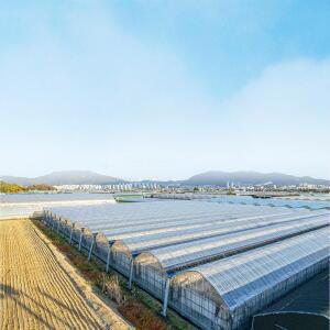 오야 PO필름 두께0.15mm 펼친폭6M 길이30M 일제 장기성 하우스비닐 농업용필름