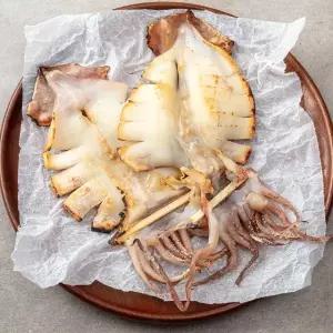 촉촉한 피데기 반건조 오징어 10마리 (특대/1.8kg내외)