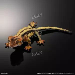 도마뱀 진짜같은 장난감 파충류 생물대도감 피규어