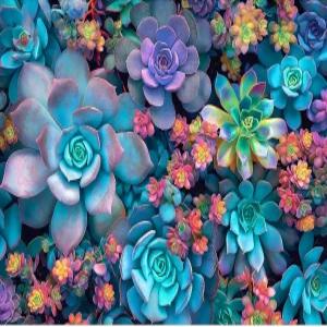 다육식물 직소 퍼즐 1000 등에 글자가 적힌 다채로운 도전 가족 게임 여성 남성 시니어를 위한 선물