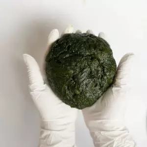 26년 햇 전남 장흥 찰 매생이 200g 5개 냉동 개별진공포장