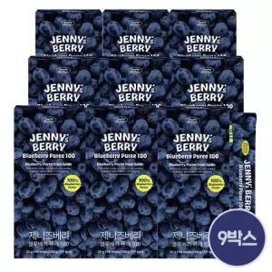 제니즈베리 스페인산 블루베리 퓨레 9박스