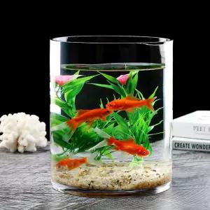 원형 어항 거실 투명 키우기 원통 직경 관상어 높이 어장