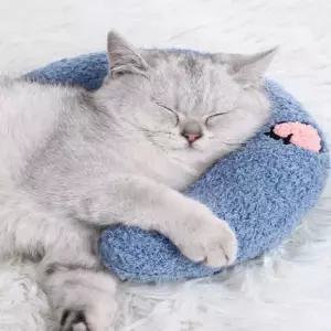 고양이 머리쿠션 머리받침 강아지장난감 반려동물 애완동물베게