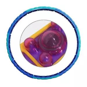 [스타스포츠]스타 에어쿠션 돌기 훌라후프 S로즈 블루 2.1kg 1P 원터치 조립 유산...