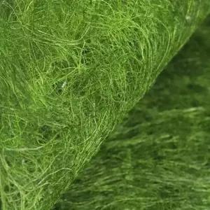 자연산 서산 바다의 향 일품 생 햇감태 10매 x 2봉