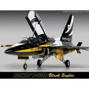 블랙이글스 T50B 공군 아카데미과학 대한민국