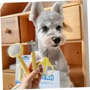 반려동물 미용 도구 펫 브러쉬 강아지 고양이 전용