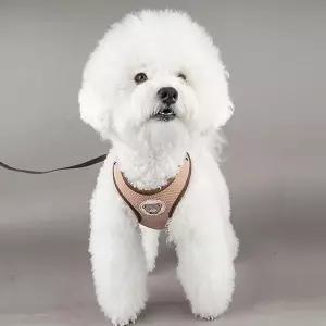[셀러허브]댕댕이 외출산책용 하네스 세트 D02214 고양이하우스 (S16525050)