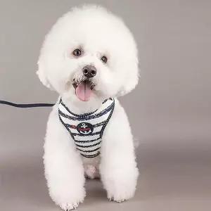 [셀러허브]외출용 강쥐 하네스 리드줄 세트 D02220 고양이줄 캣 (S16525046)