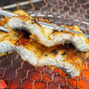 통영 자연산 보양식 육즙 대장어 1kg(1-3미 내외/손질 후 600g-650g 내외)