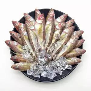 동해안 산지직송 알도루묵 숫도루묵 혼합 1kg 신선 급냉 제철 생선 양미리