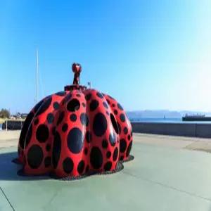 부산출발 다카마츠 3일 #신규취항 #우동의도시 #나오시마 #야시마전망대