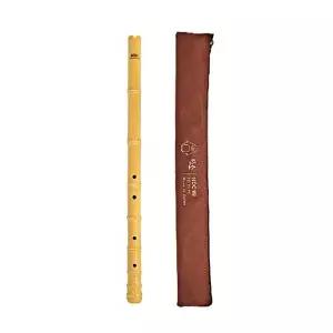 [에이치플러스몰]수업용 플라스틱 단소 음악교구 학습 도구 준비물 유아 아동 악기