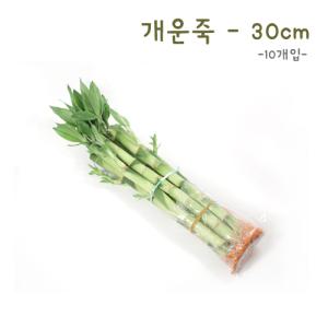 개운죽 30cm-10p