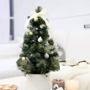 [텐바이텐]화이트골드 내츄럴 트리