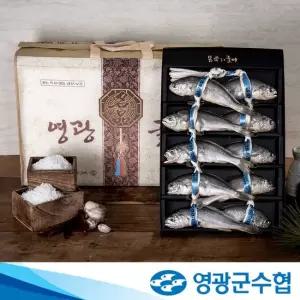 [영광군수협] 법성포 국내산 굴비 10마리 0.9kg-1.2kg 실속선물세트 부직포 선물포장)