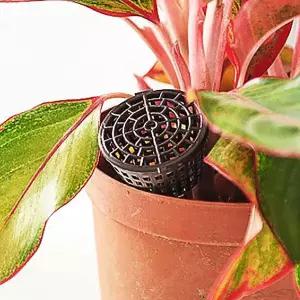 [콩심팥심]화분 물주기 자동 비료 통 화초 텃밭 영양