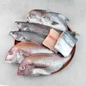반건조 생선 세트 7마리 구성 (민어 2미 참돔 2미 병어 2미 삼치 1토막)