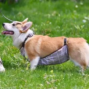 [알티피아]반려견 방수 비옷 애완견 외출복 애견 우비 강아지