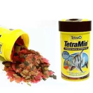 테트라 민 100ml 20g ,1개