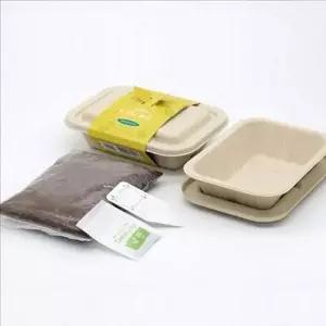 [알티피아]어린이 유채 재배 새싹 채소 건강식품 씨앗 용품