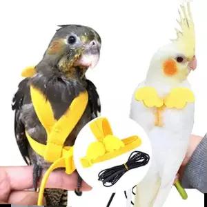 회색앵무 앵무새 반려새 하네스 발목링 산책 리드줄