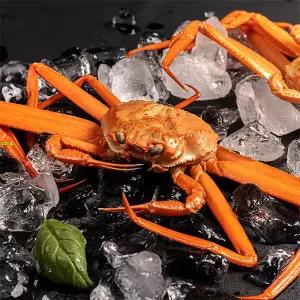 [롯데백화점]자연맛남 포항 구룡포 활 박달홍게 3마리(소/1미당 300-400g)