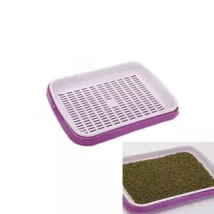 새싹 씨앗 재배기 키우기 식물 WD59540