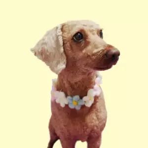 애견스카프 반려동물 꽃 목걸이 M 고양이스카프 애견스카프 고양이스카프 토끼옷