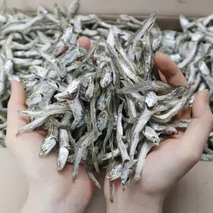 동해청정 국내산 다시멸치 1.5kg 한박스 육수용 업소용 멸치