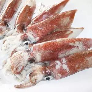 제주 손질 한치 (소) 700g 숙회용 8-9미