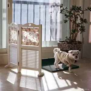 강아지 배변판 가리개 다용도 원목 갤러리 패브릭 타이니 파티션