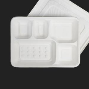 종이도시락 HC 5칸 천연 펄프용기 돈까스 도시락 200세트