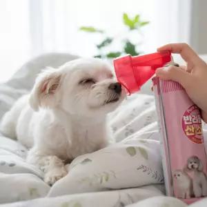 강아지 산소캔 고양이 산소호흡기 마스크 휴대용 산소통 세트