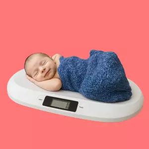 신생아 체중계 채중계 아기 유아 반려동물 강아지 고양이 체중계